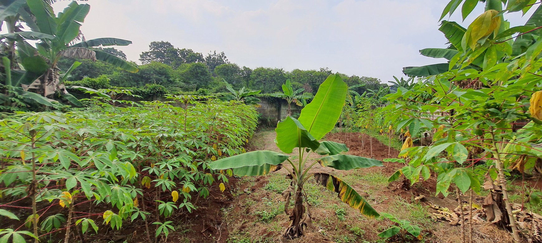 Kavling Siap Bangun Dekat Dengan Stasiun LRT Harjamukti, Cimanggis, Depok