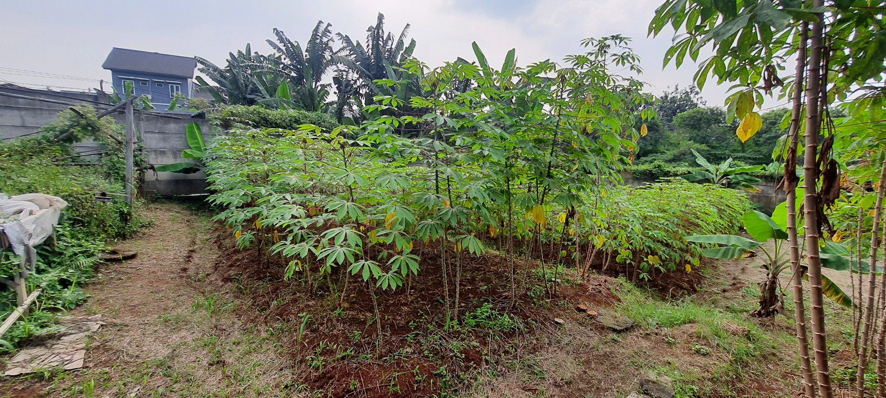 Kavling Siap Bangun Dekat Dengan Stasiun LRT Harjamukti, Cimanggis, Depok