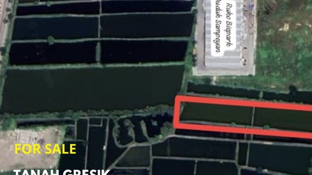 Murah Tanah 1,2Ha Siap Bangun Kab Gresik Jawa Timur