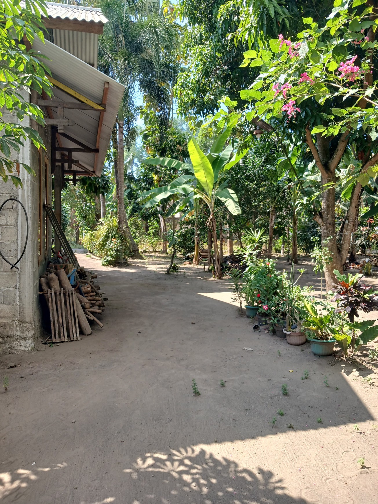 Tanah Cocok Untuk Rumah Tinggal Dibawah 200 Juta Di Kauman, Pandak, Bantul