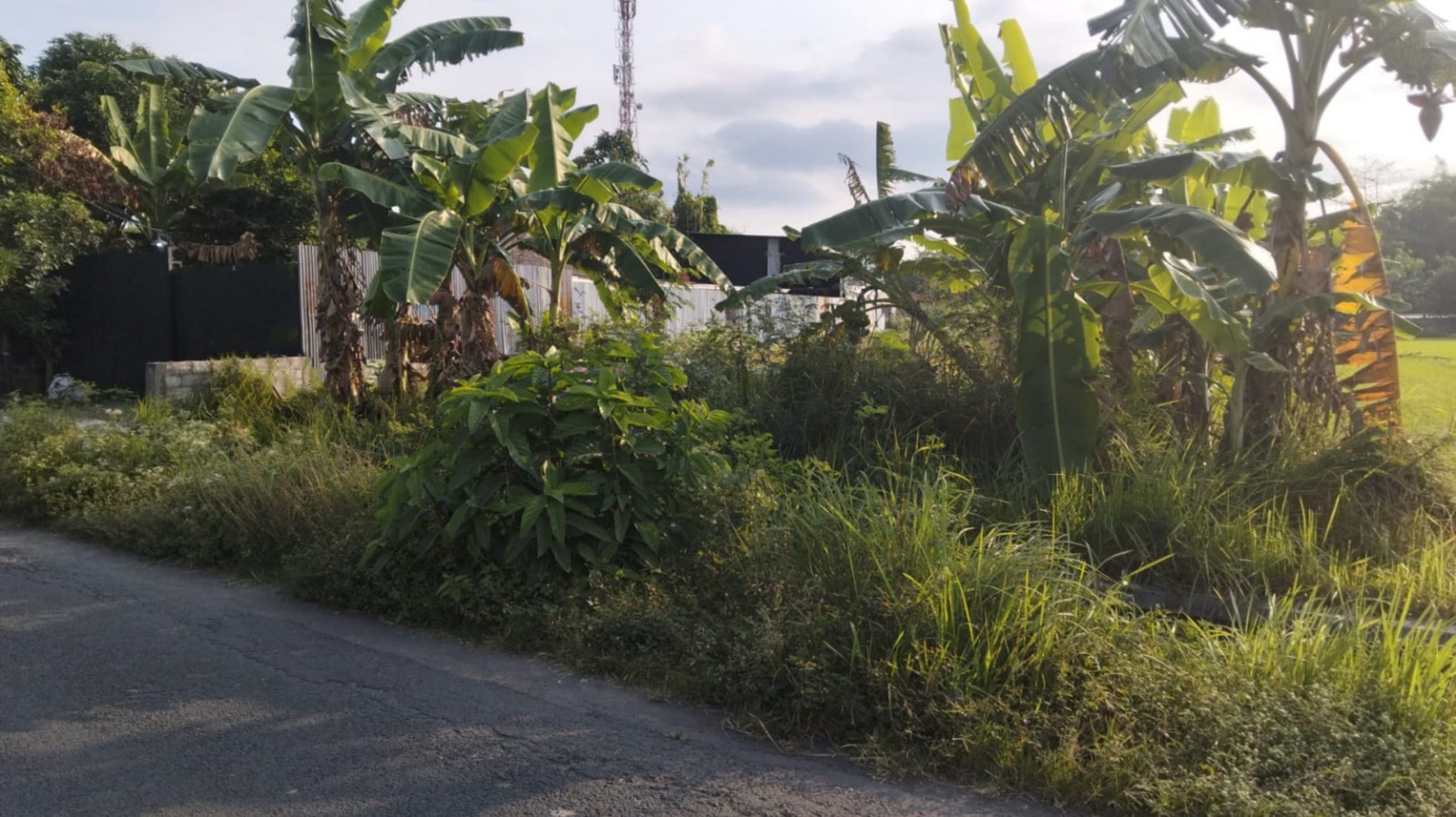 Tanah 890 Meter Persegi Lokasi Dekat Kampus ISI Yogyakarta