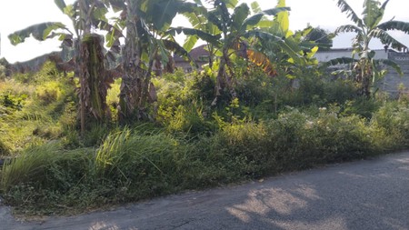 Tanah 890 Meter Persegi Lokasi Dekat Kampus ISI Yogyakarta