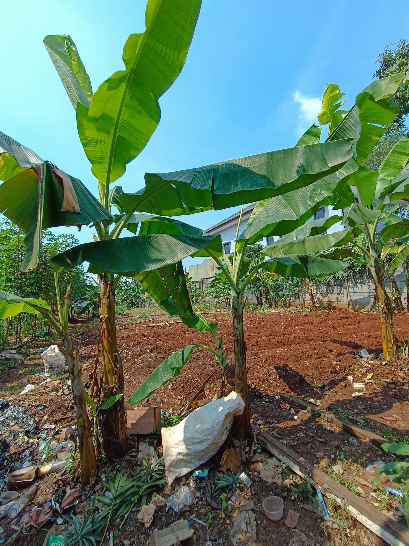 Kavling Luas dan Strategis di Cibubur Di Jual Cepat
