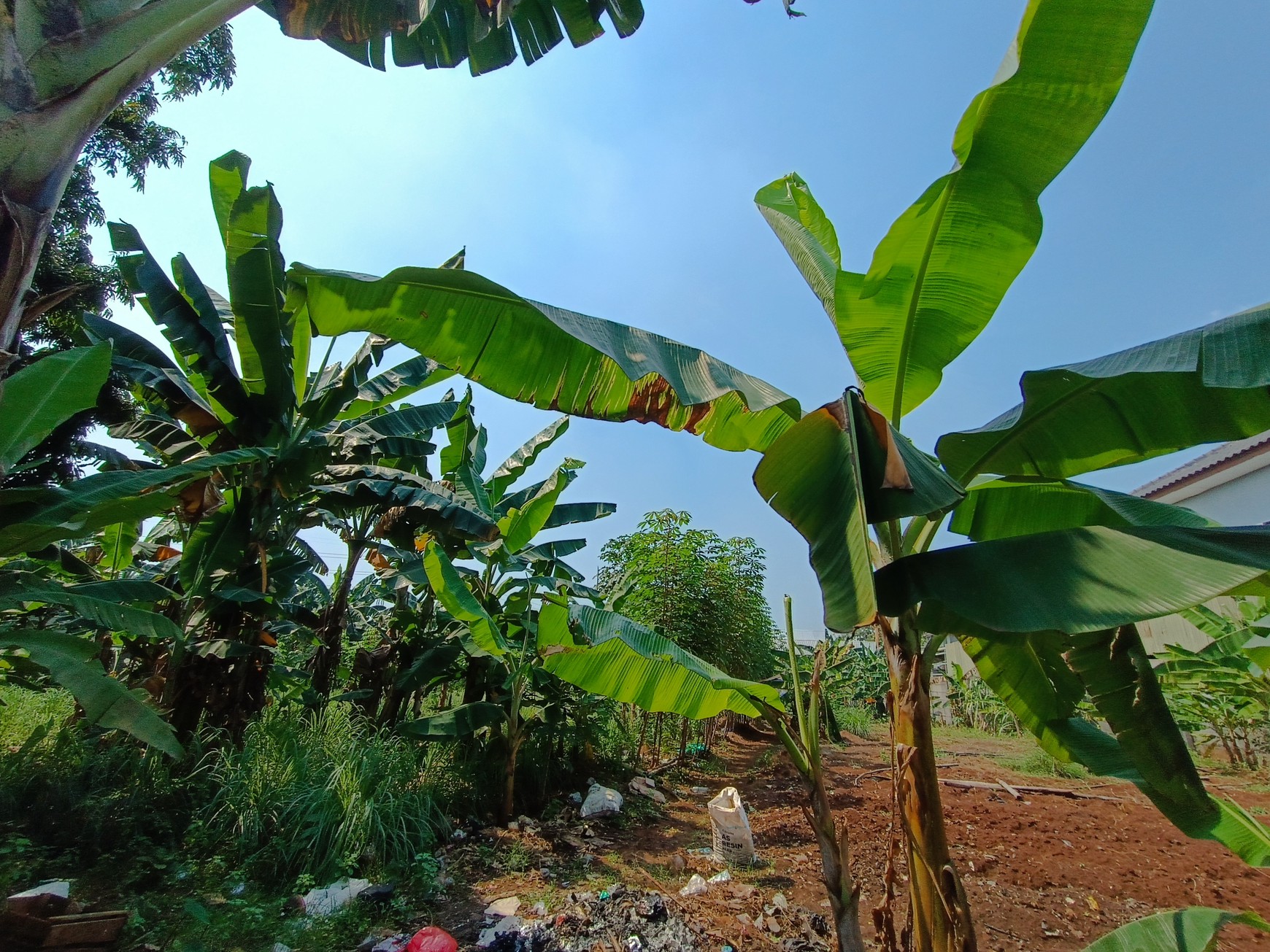 Kavling Luas dan Strategis di Cibubur Di Jual Cepat