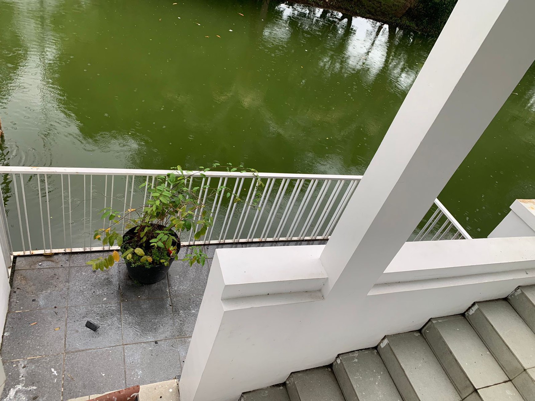 Rumah, Blok YB Lotus, Pantai Indah Kapuk