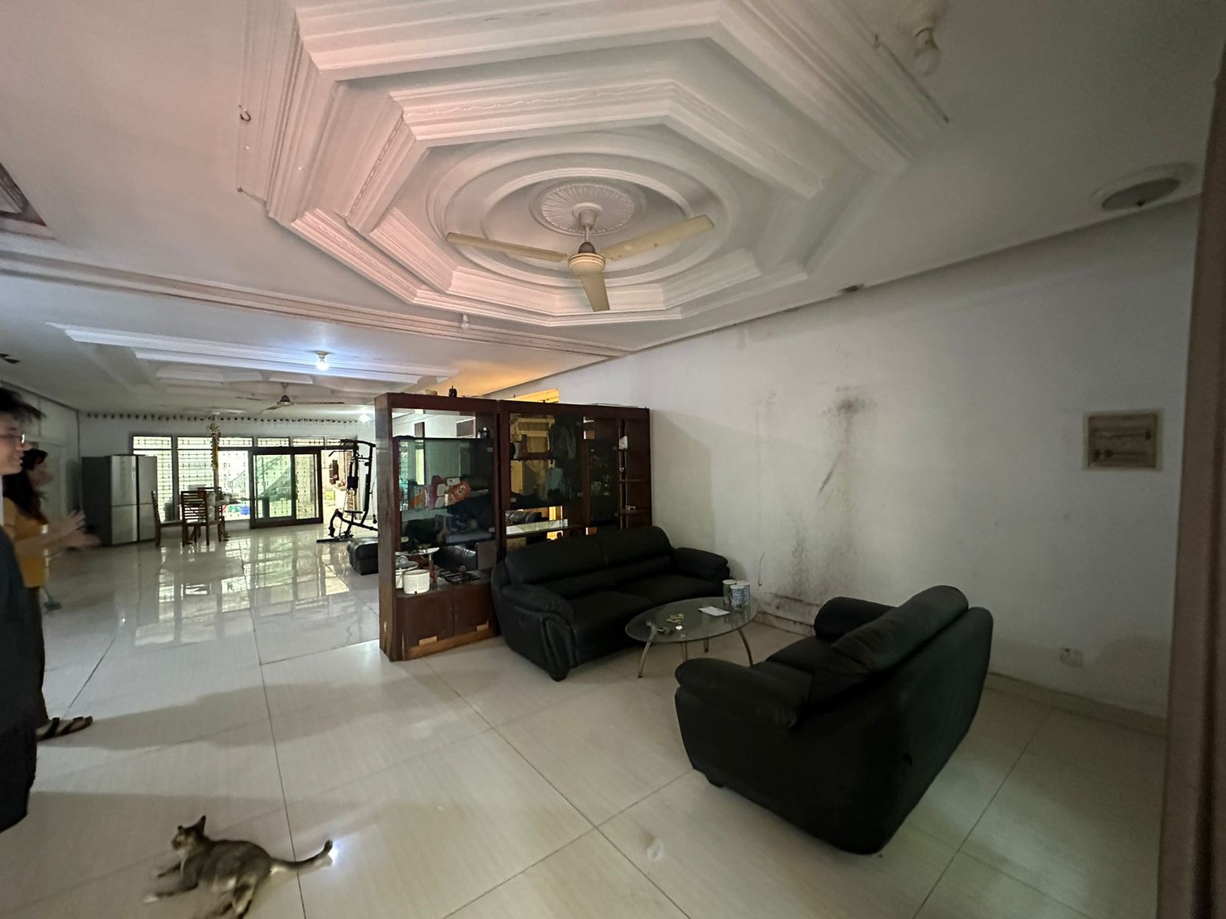 Dijual Rumah Pluit Timur Raya