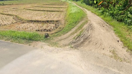 Land Freehold Close To The Beach Tabanan Bali