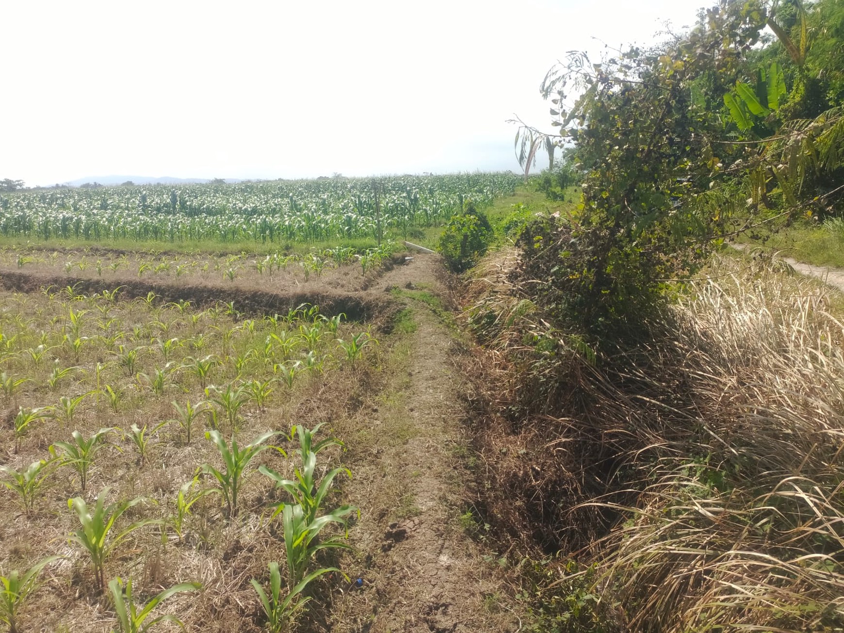 Land Freehold Close To The Beach Tabanan Bali