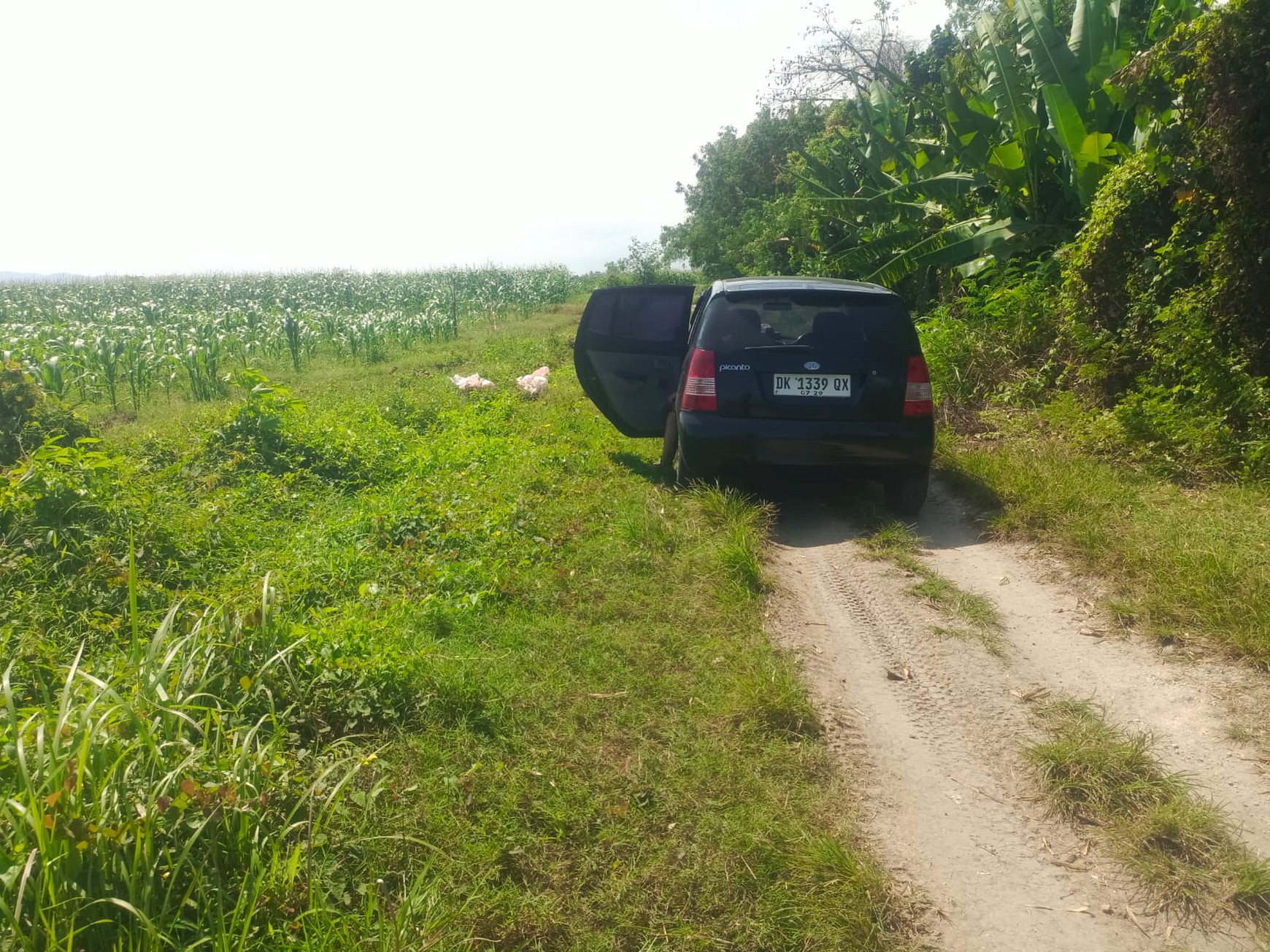 Land Freehold Close To The Beach Tabanan Bali