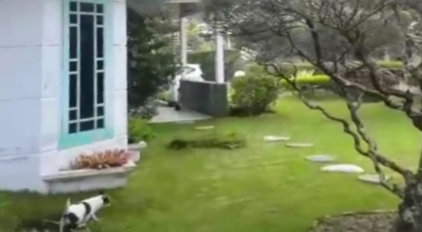 Villa Palem Garden, Puncak, dengan taman di sekeliling rumah. Pohon-pohon yang rajin berbuah. Landscape menawan dgn gazebo cantik.
