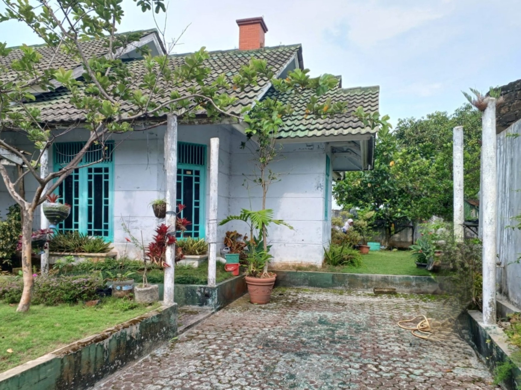Villa Palem Garden, Puncak, dengan taman di sekeliling rumah. Pohon-pohon yang rajin berbuah. Landscape menawan dgn gazebo cantik.