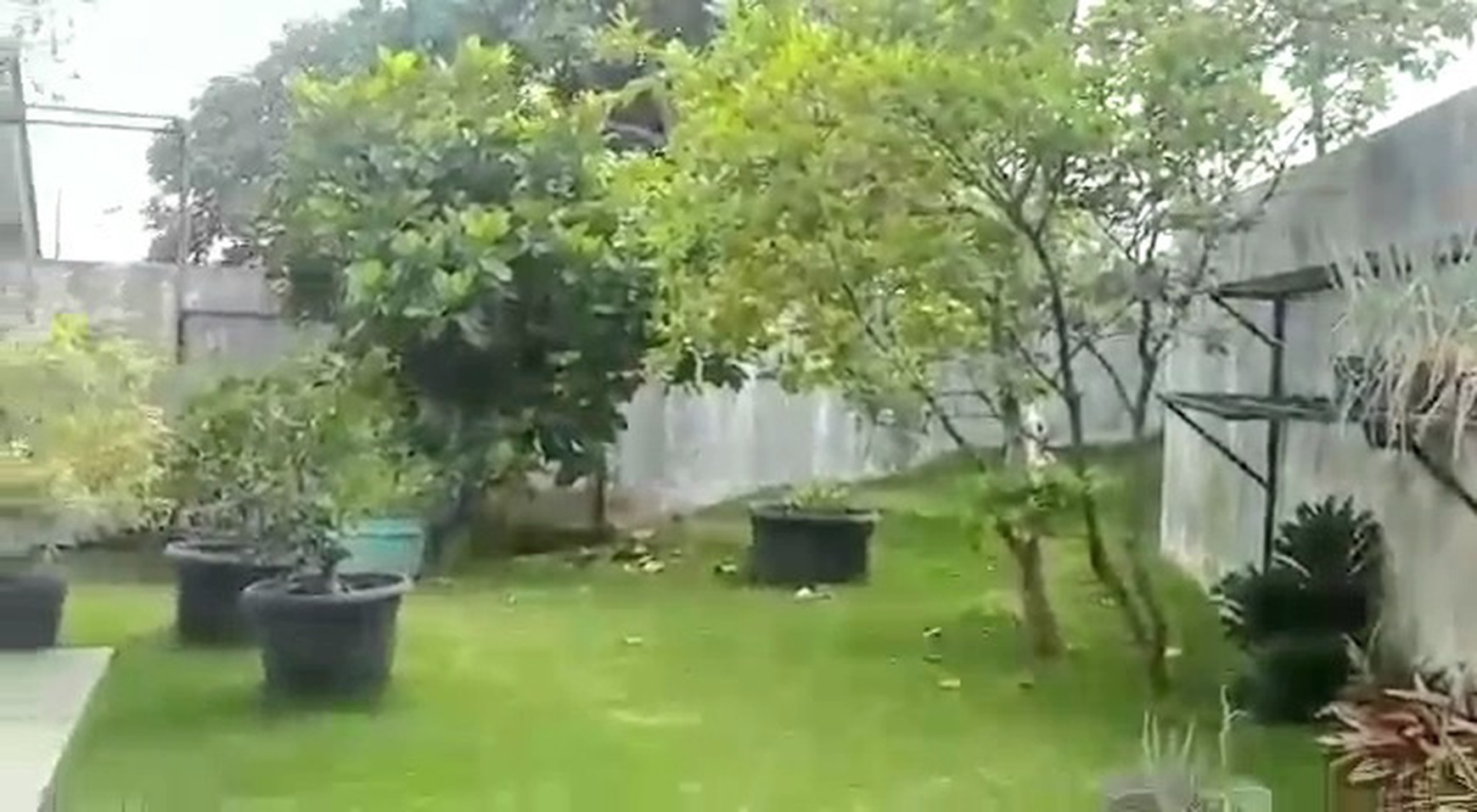 Villa Palem Garden, Puncak, dengan taman di sekeliling rumah. Pohon-pohon yang rajin berbuah. Landscape menawan dgn gazebo cantik.