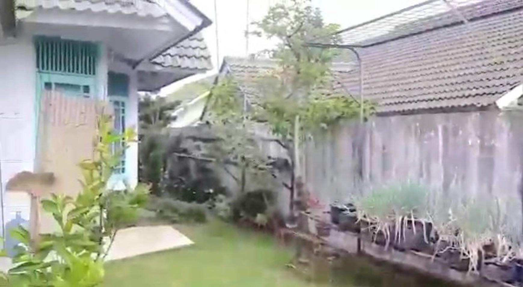 Villa Palem Garden, Puncak, dengan taman di sekeliling rumah. Pohon-pohon yang rajin berbuah. Landscape menawan dgn gazebo cantik.