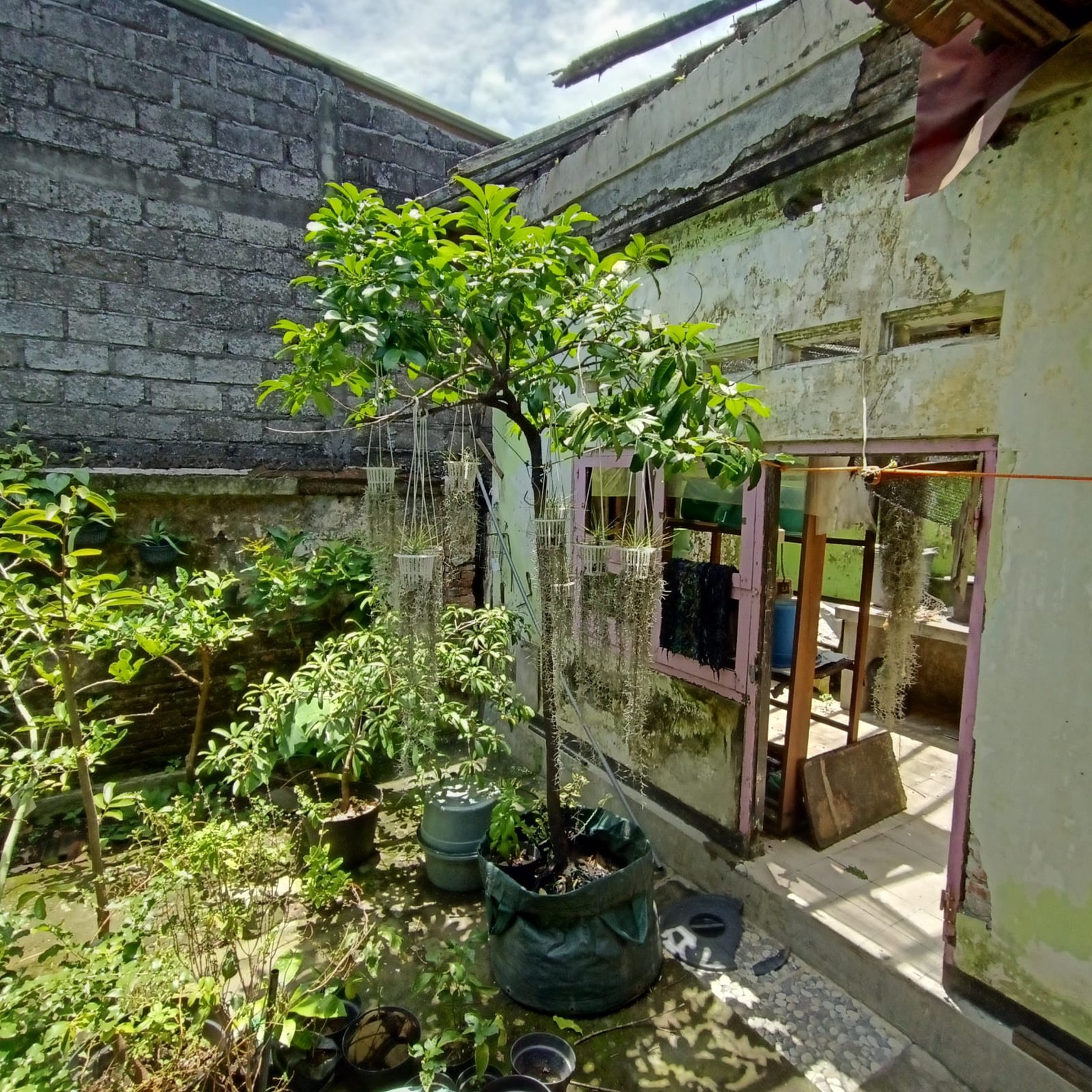 Rumah dijual di lokasi strategis di Denpasar Bali