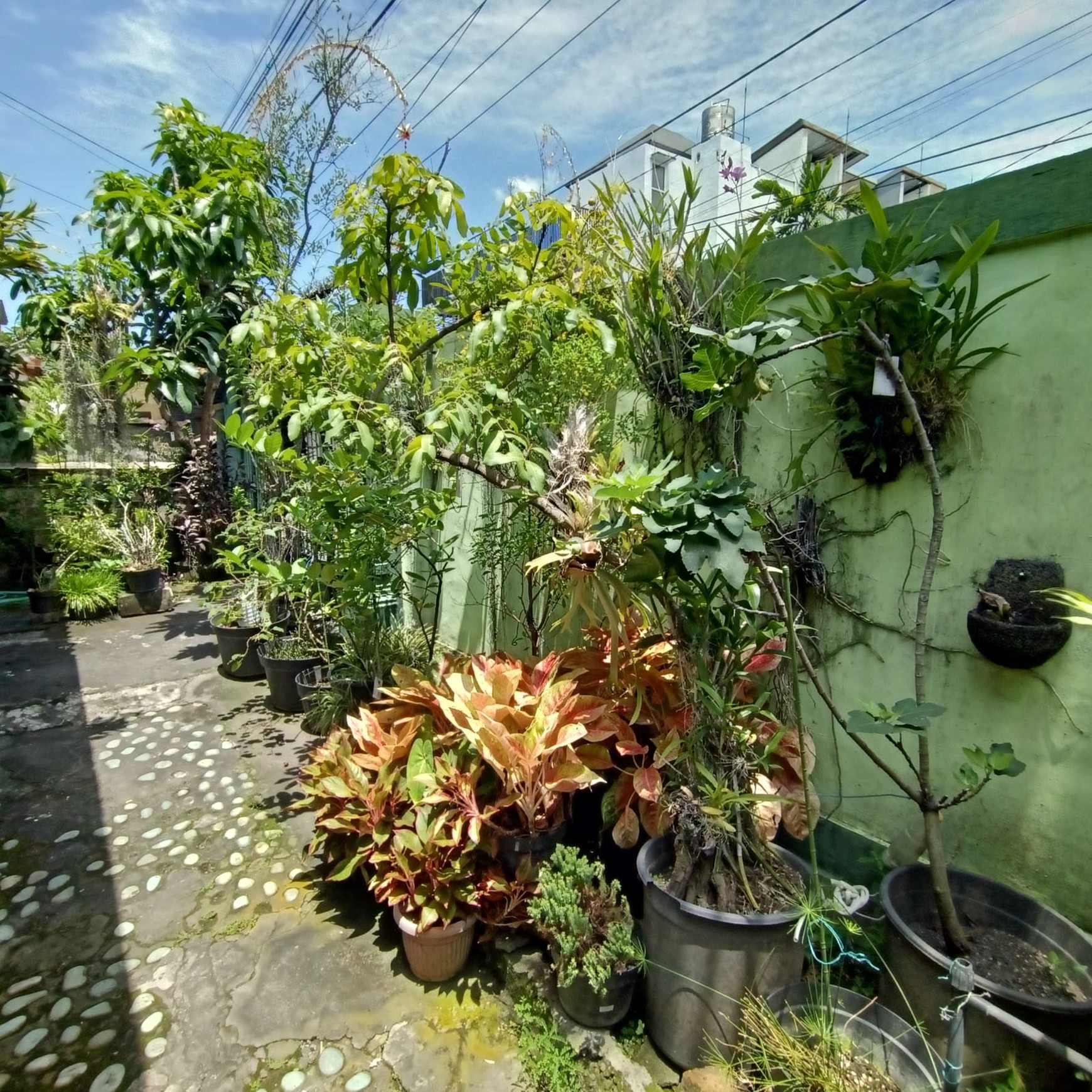 Rumah dijual di lokasi strategis di Denpasar Bali