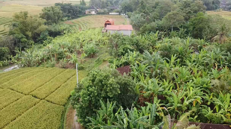 Leasehold - Exclusive Land in Yeh Gangga, Tabanan, Bali - Close to the Beach