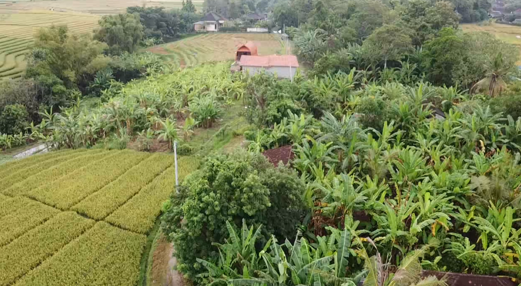 Leasehold - Exclusive Land in Yeh Gangga, Tabanan, Bali - Close to the Beach