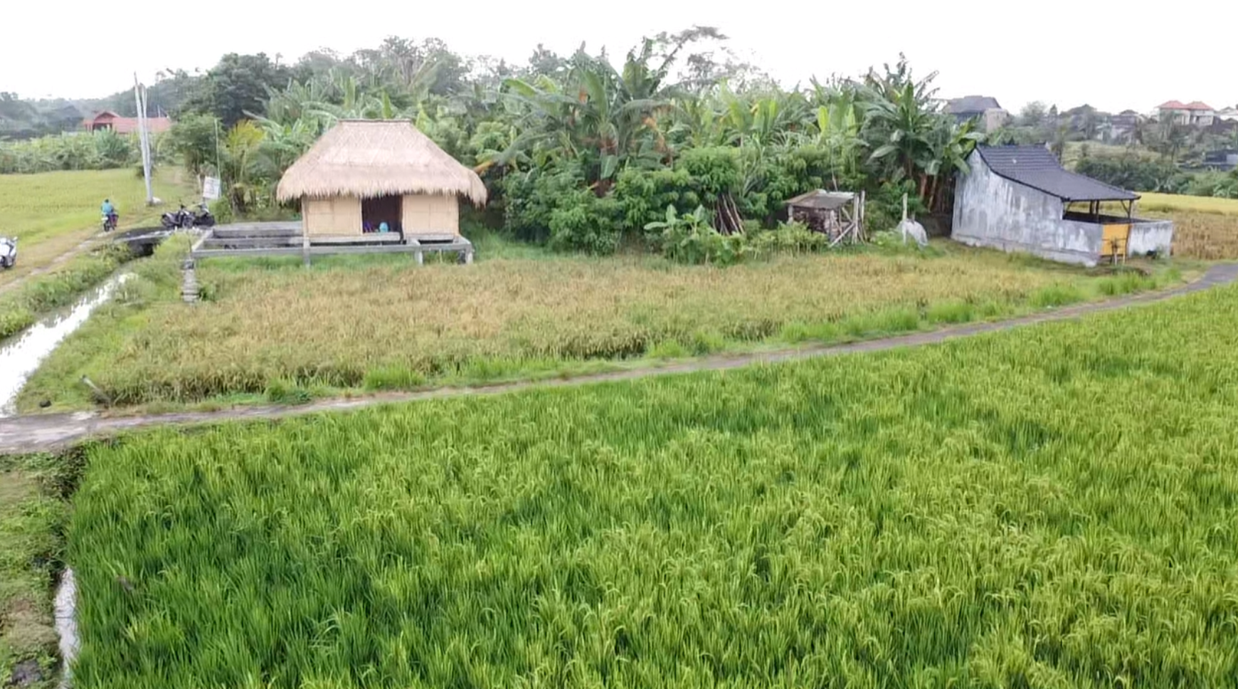 Leasehold - Exclusive Land in Yeh Gangga, Tabanan, Bali - Close to the Beach