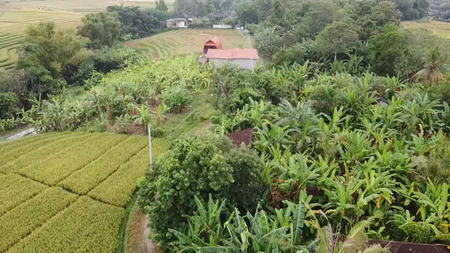 Leasehold - Exclusive Land in Yeh Gangga, Tabanan, Bali - Close to the Beach
