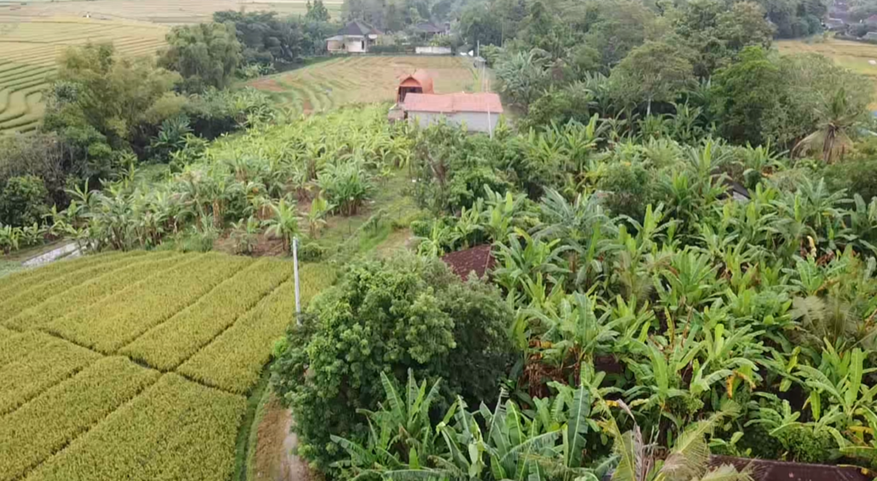 Leasehold - Exclusive Land in Yeh Gangga, Tabanan, Bali - Close to the Beach