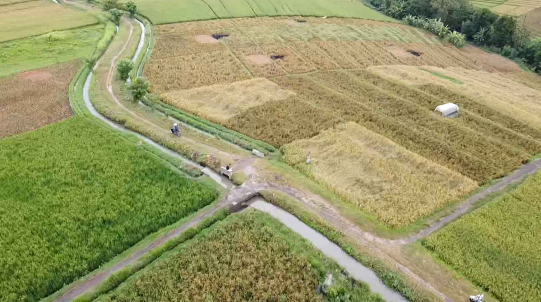 Leasehold - Exclusive Land in Yeh Gangga, Tabanan, Bali - Close to the Beach