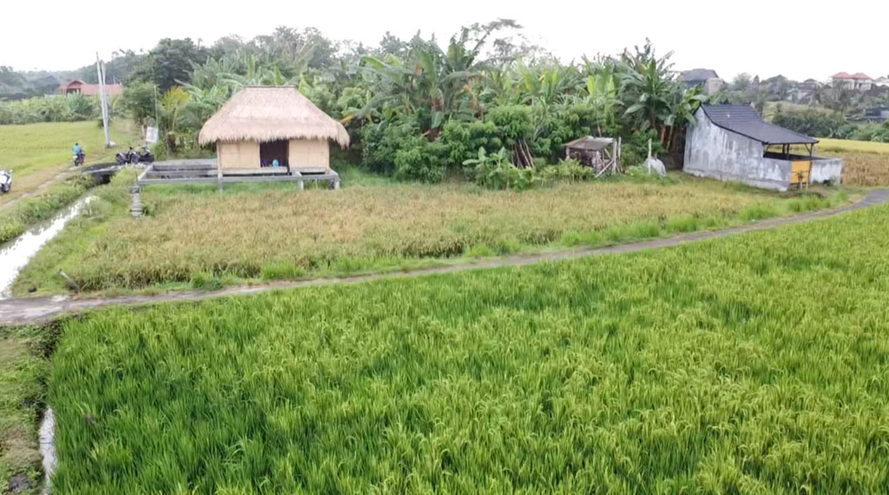 Leasehold - Exclusive Land in Yeh Gangga, Tabanan, Bali - Close to the Beach