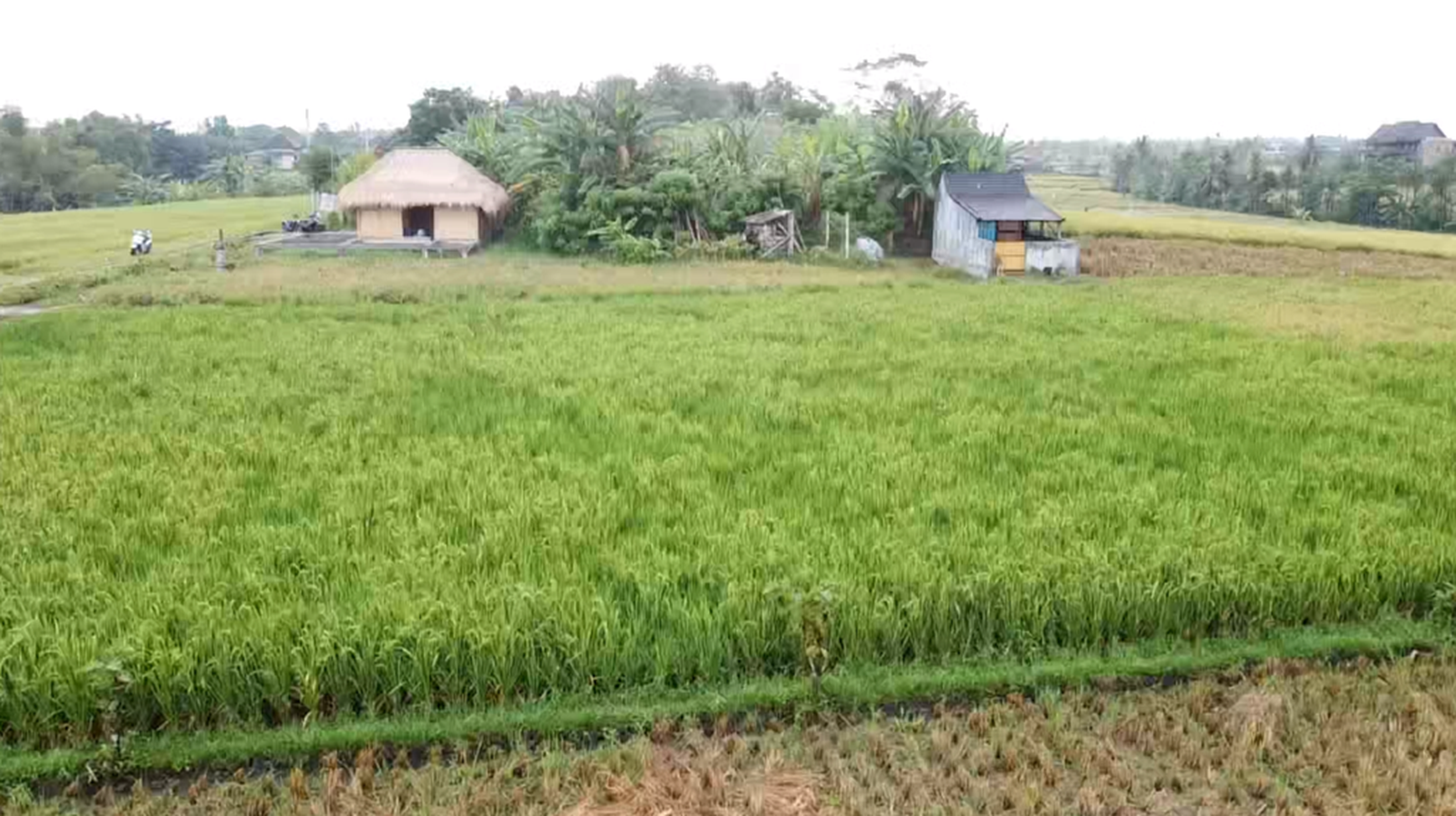 Leasehold - Exclusive Land in Yeh Gangga, Tabanan, Bali - Close to the Beach