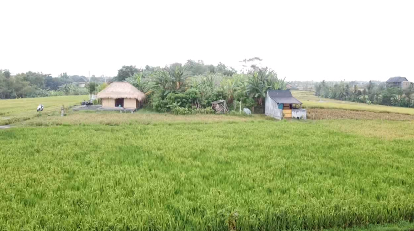 Leasehold - Exclusive Land in Yeh Gangga, Tabanan, Bali - Close to the Beach
