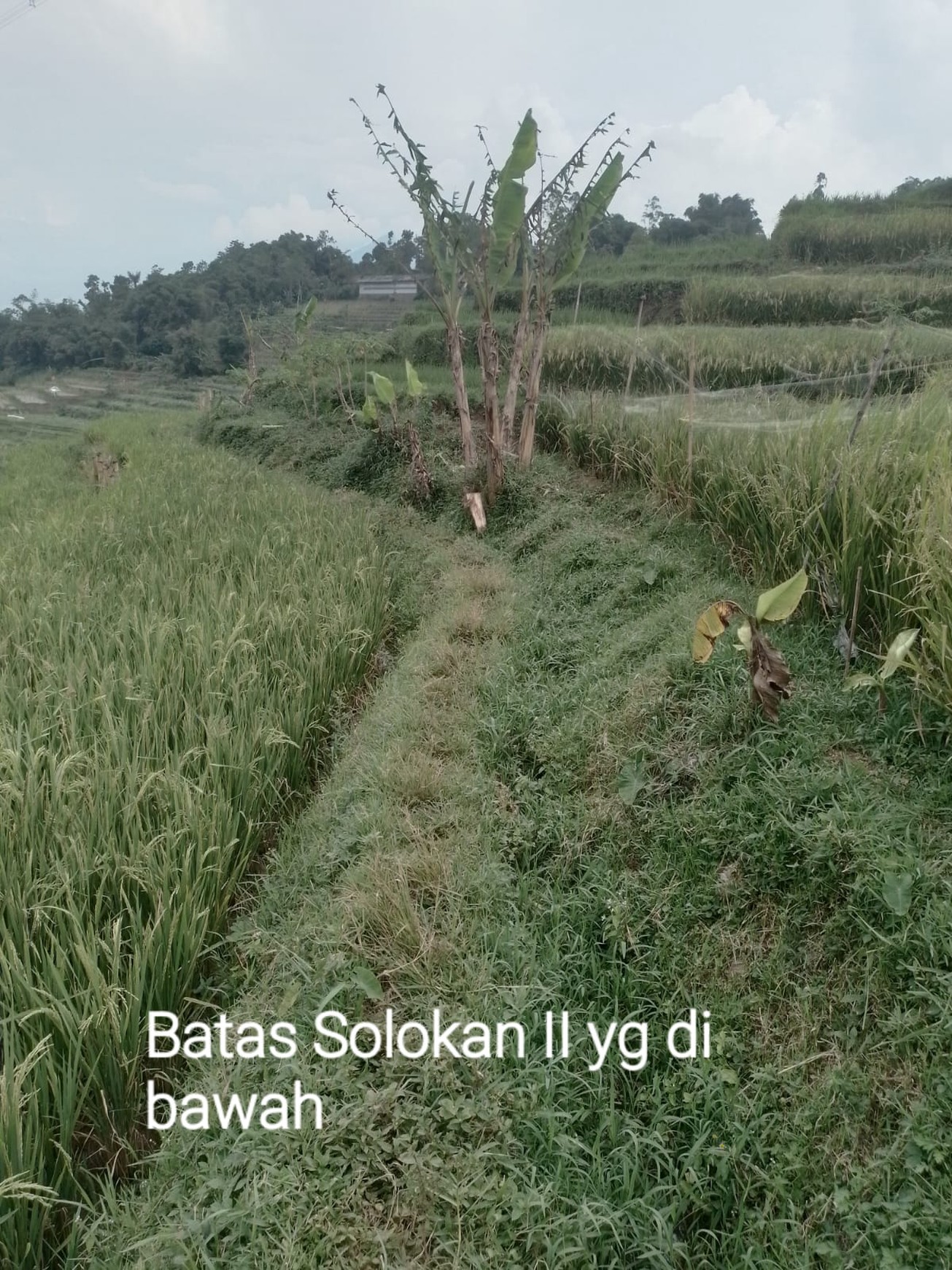 DIJUAL LAHAN LUAS DAN STRATEGIS UNTUK USAHA WISATA PERKEBUNAN DAN PERTANIAN