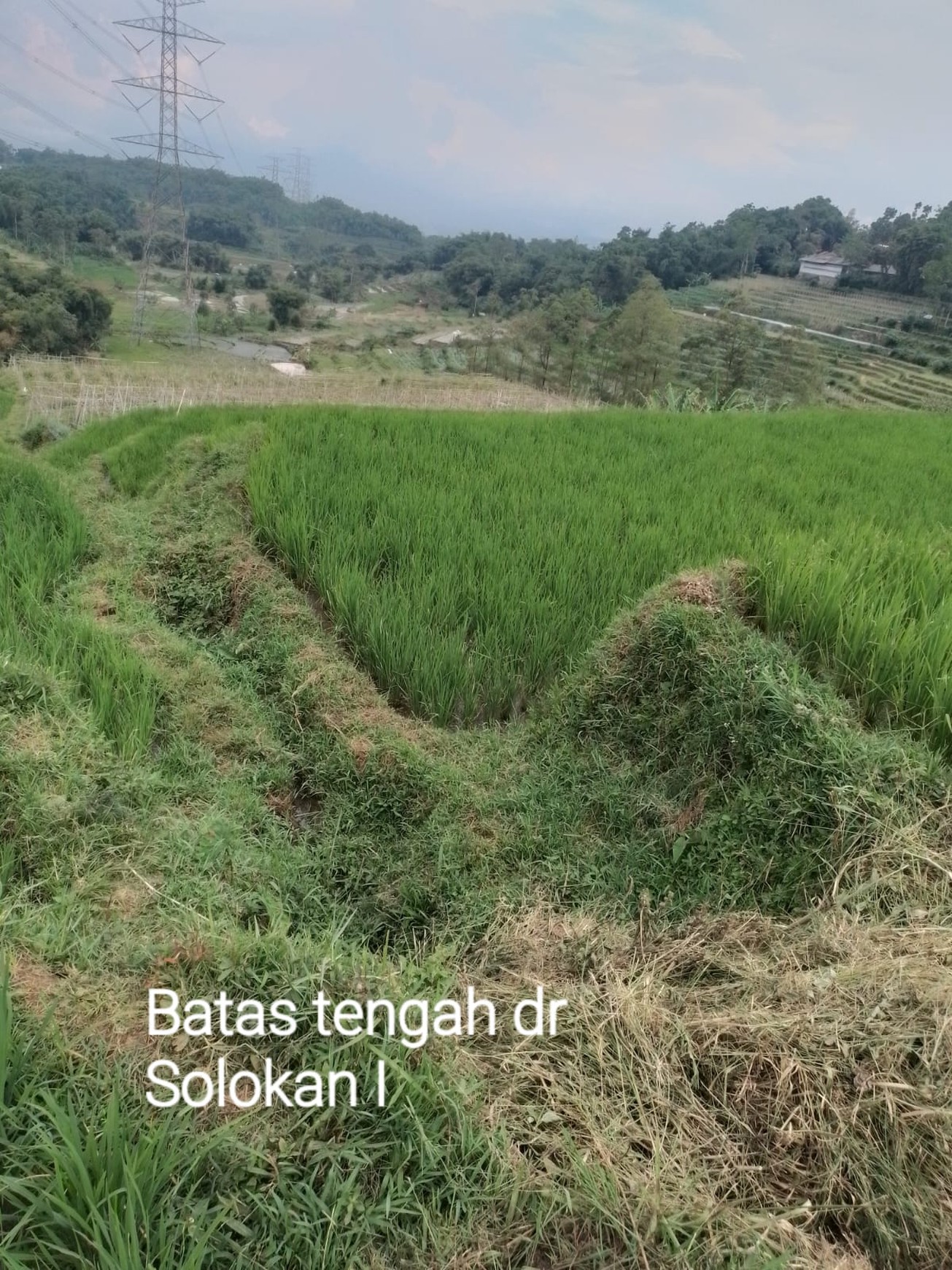 DIJUAL LAHAN LUAS DAN STRATEGIS UNTUK USAHA WISATA PERKEBUNAN DAN PERTANIAN