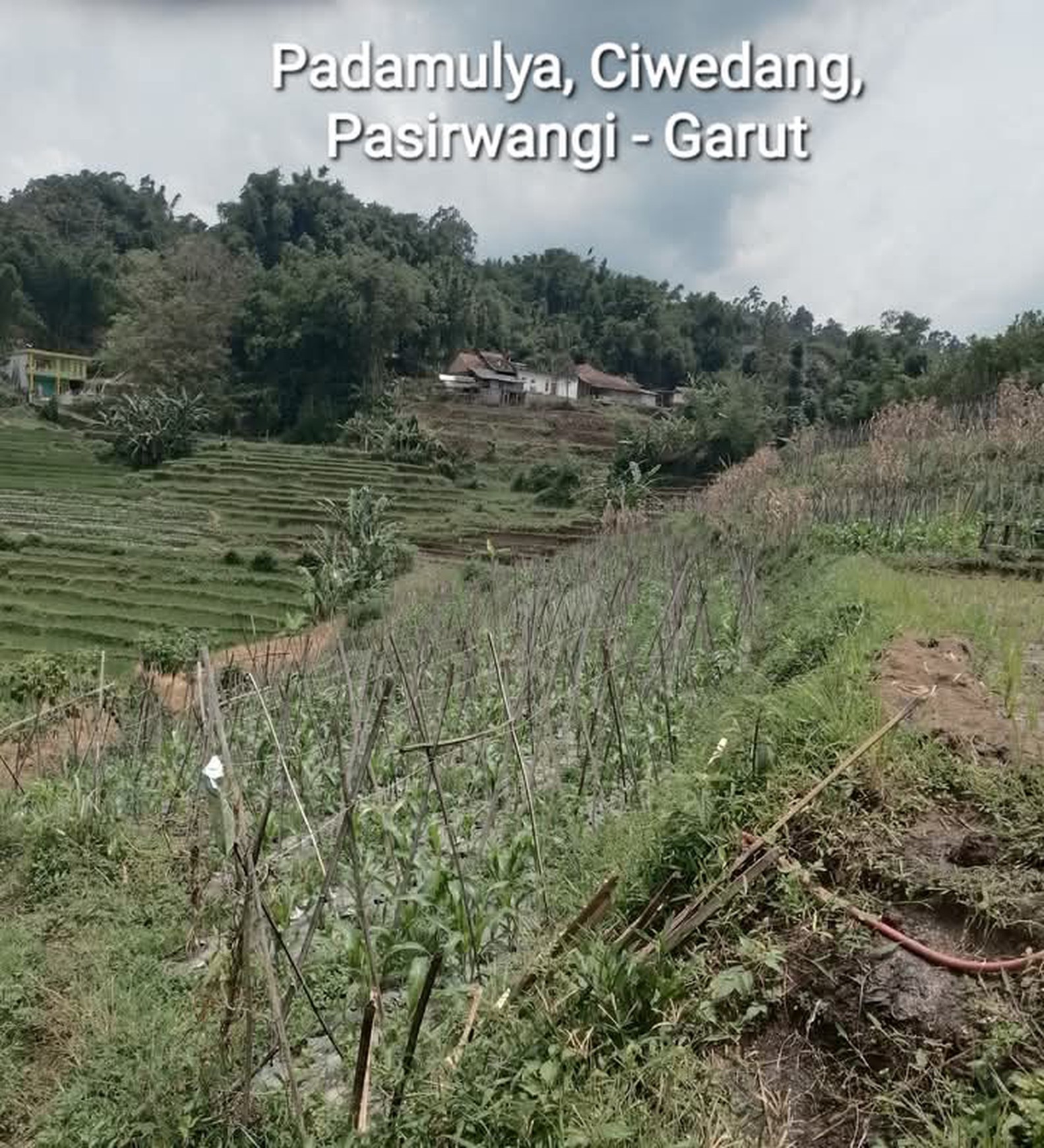 DIJUAL LAHAN LUAS DAN STRATEGIS UNTUK USAHA WISATA PERKEBUNAN DAN PERTANIAN