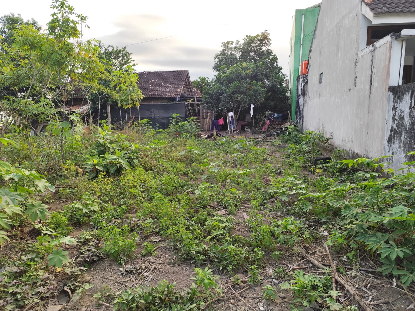 Tanah Pekarangan 147 Meter Persegi Lokasi Dekat Universitas Respati 2, Wedomartani, Ngemplak, Sleman