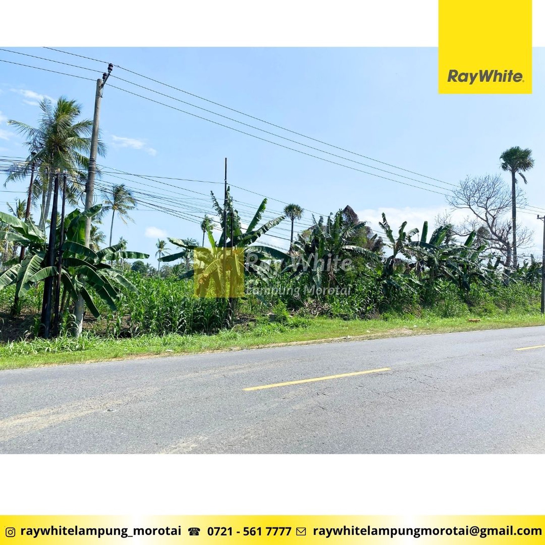 Tanah Pinggir Jalan Depan RM Simpang Raya Lampung Selatan