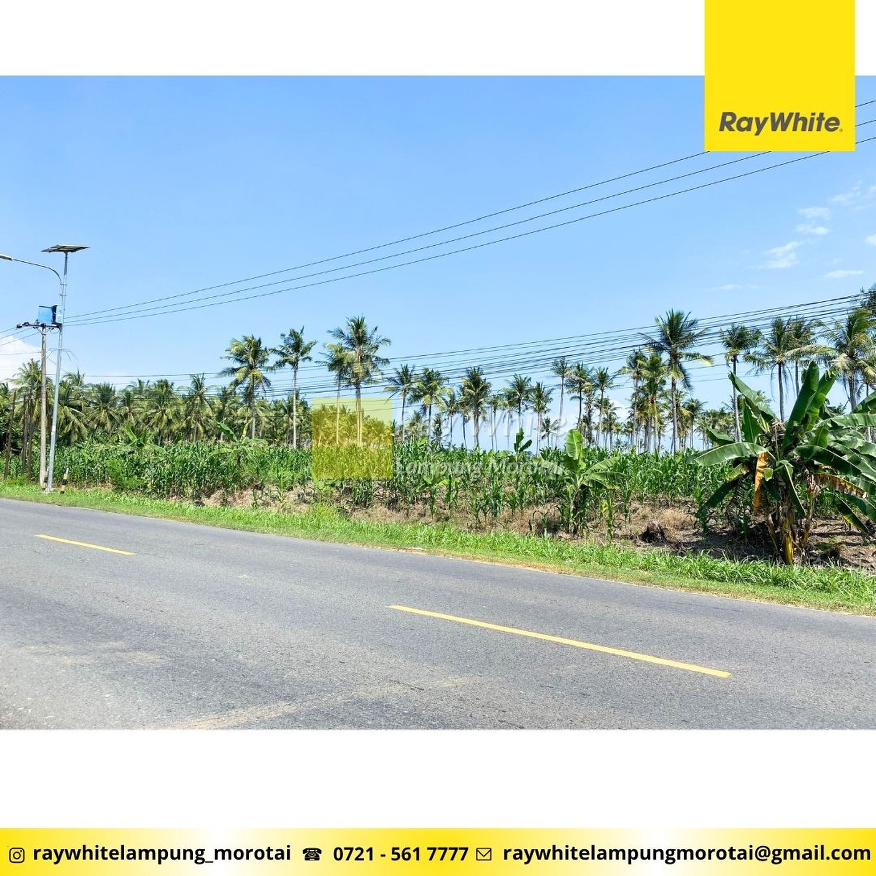 Tanah Pinggir Jalan Depan RM Simpang Raya Lampung Selatan