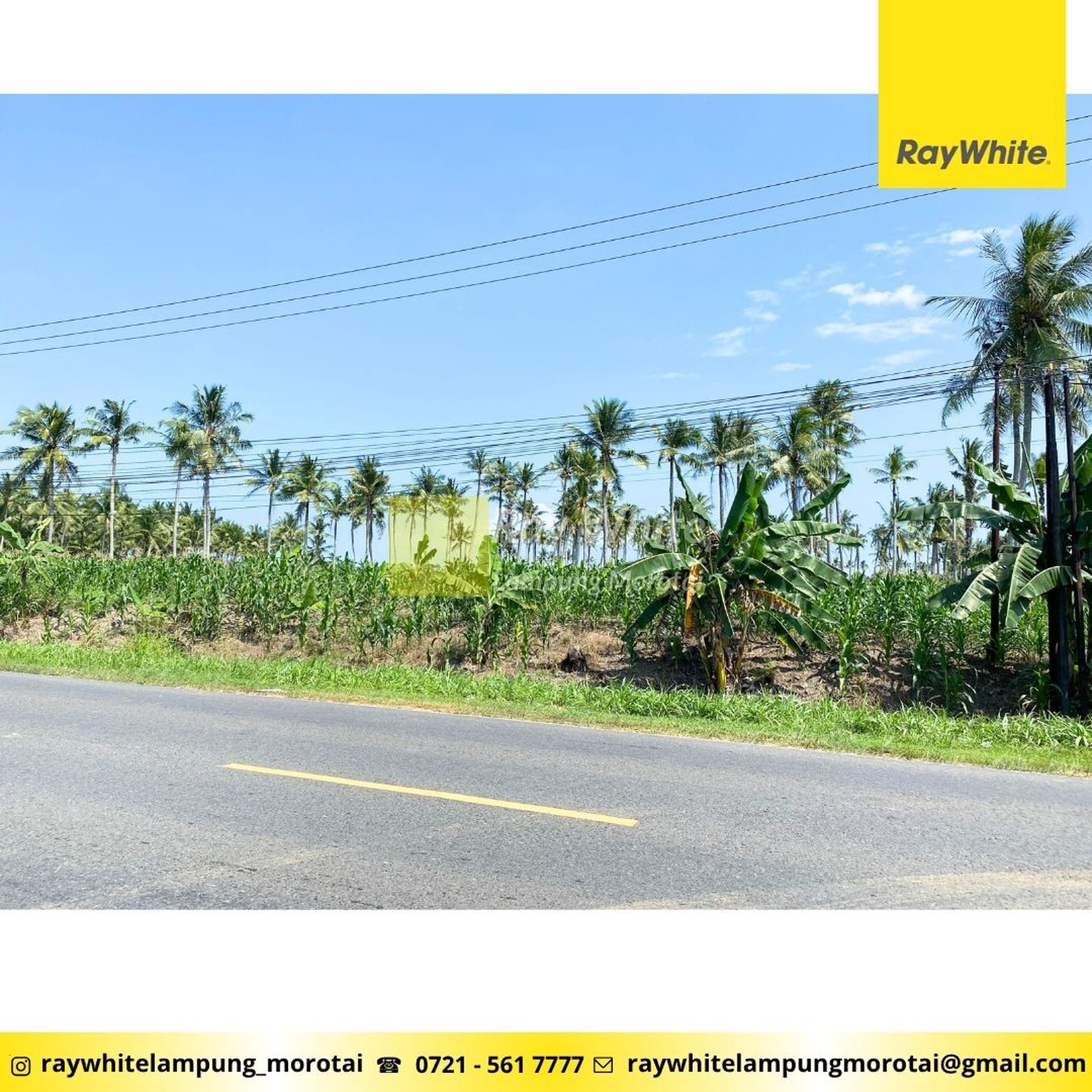 Tanah Pinggir Jalan Depan RM Simpang Raya Lampung Selatan