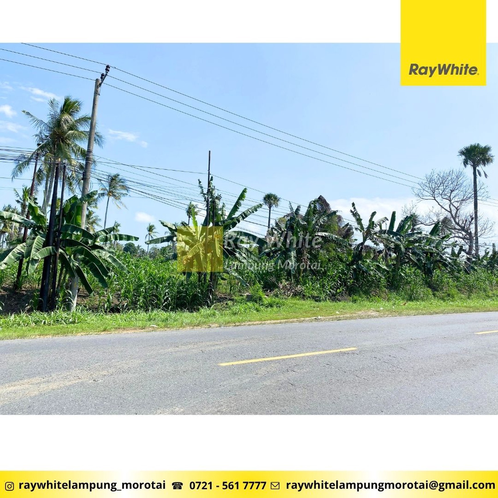 Tanah Pinggir Jalan Depan RM Simpang Raya Lampung Selatan