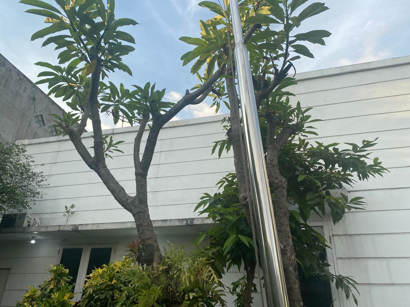 Rumah Asri, Nyaman Lokasi strategis di Jakarta Selatan