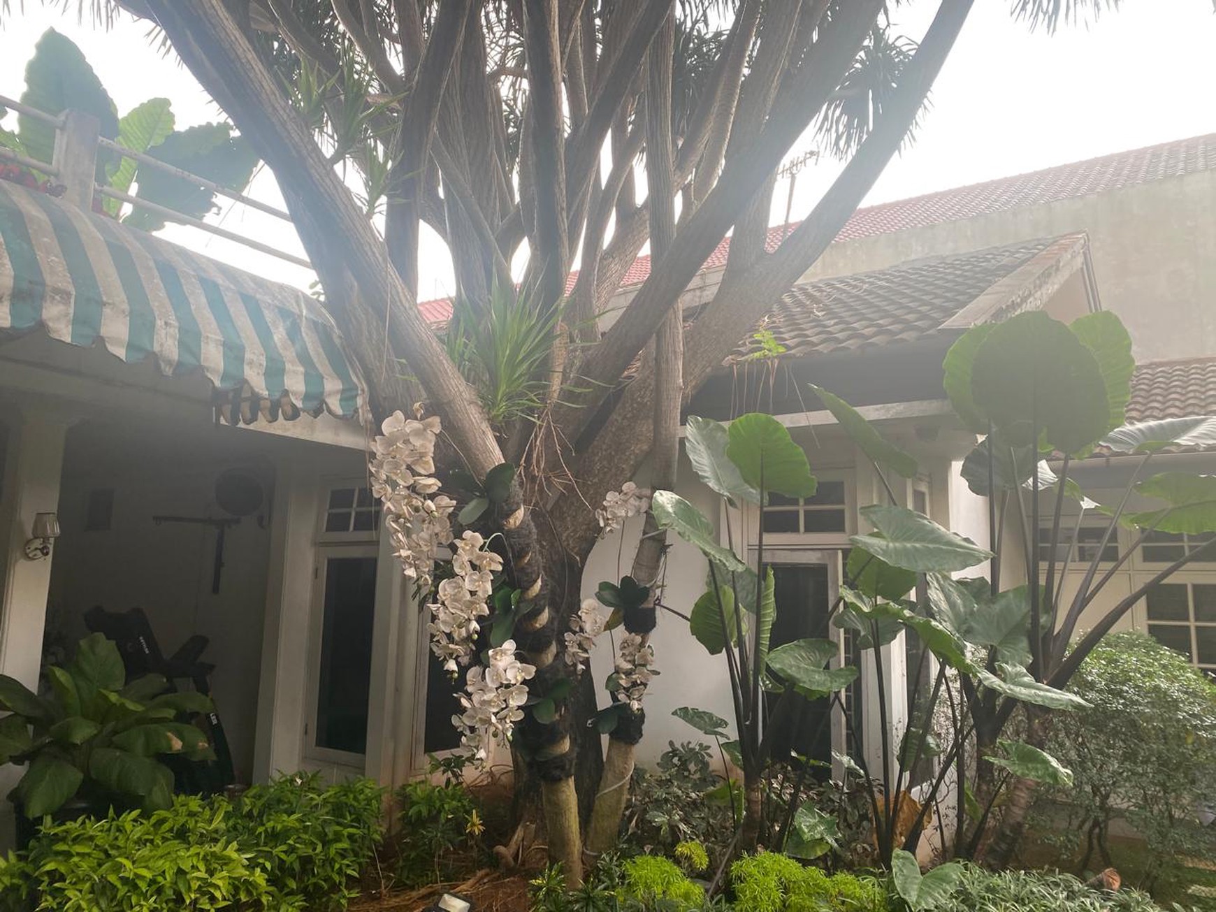 Rumah Asri, Nyaman Lokasi strategis di Jakarta Selatan