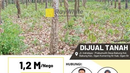 Jual Cepat