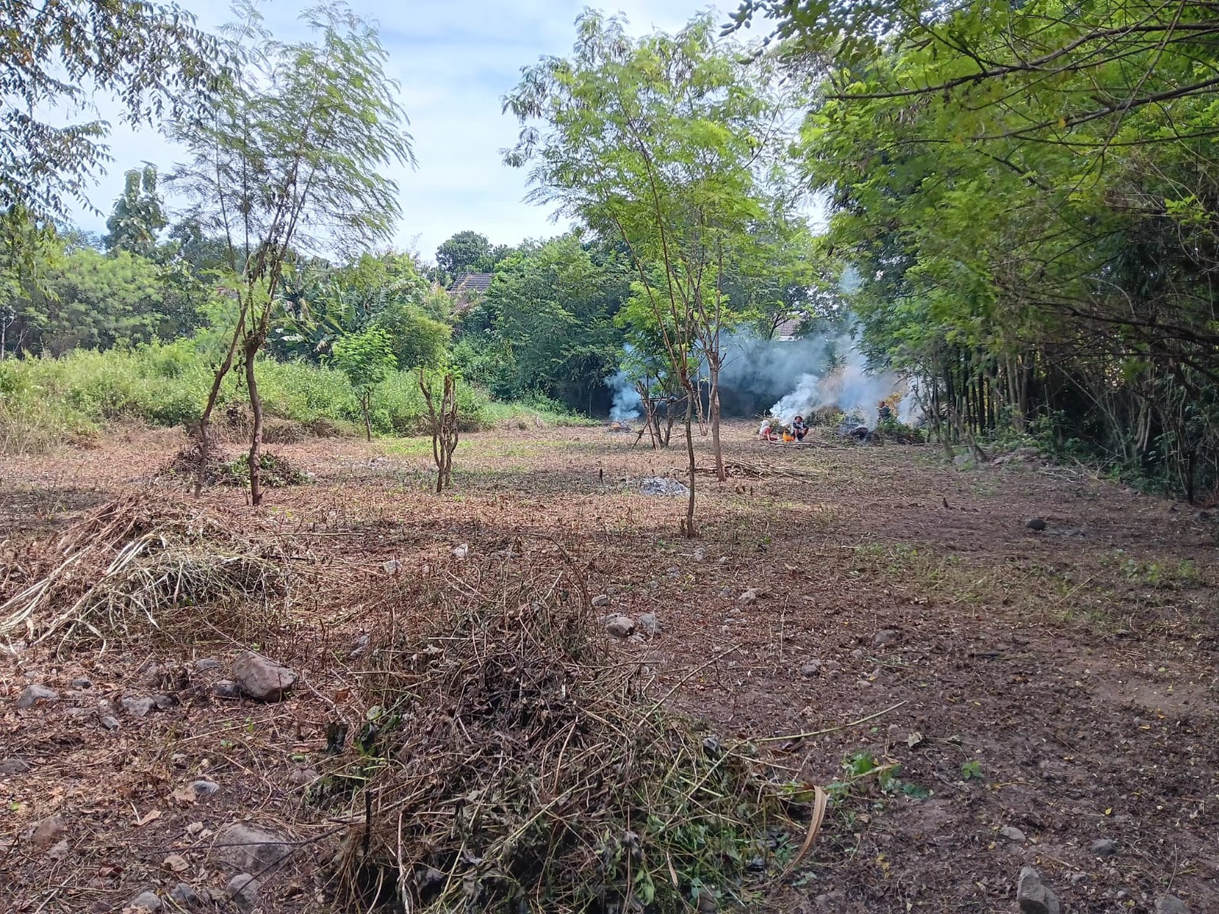 Tanah Pekarangan 990 Meter Persegi Cocok Untuk Mini Cluster, Tirtomartani, Kalasan, Sleman