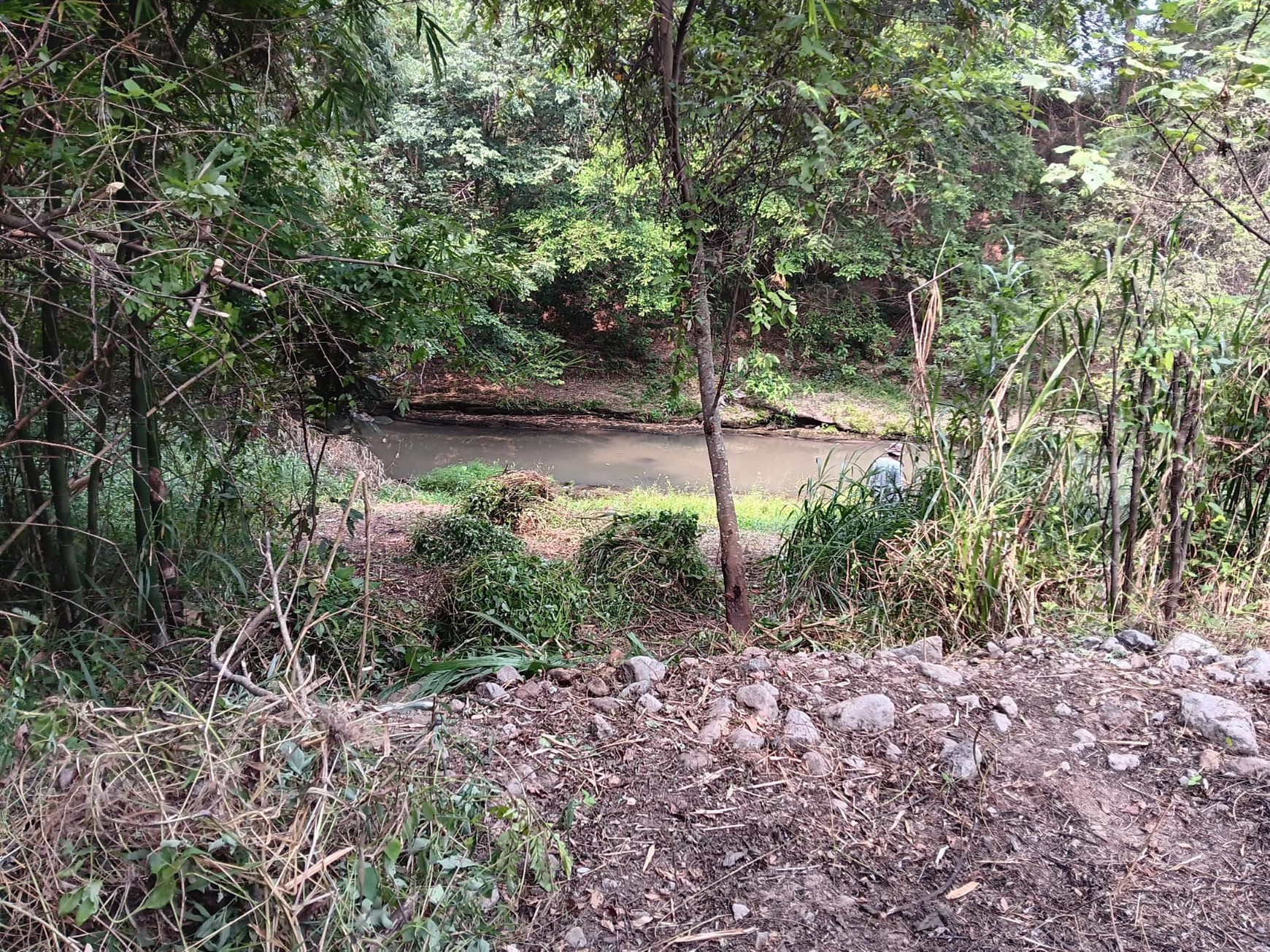 Tanah Pekarangan 990 Meter Persegi Cocok Untuk Mini Cluster, Tirtomartani, Kalasan, Sleman