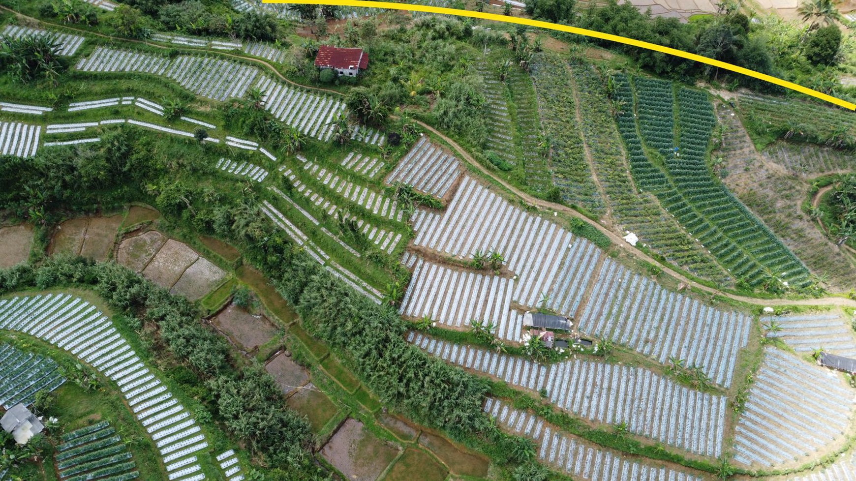 Lahan Perkebunan untuk Investasi Menguntungkan di Sukabumi - Hanya 1 Jam dari Pintu Toll Parung Kuda