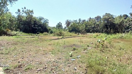 Tanah Kavling 513 Meter Persegi Cocok Utuk Rumah Tinggal Lokasi Dekan RS Queen Latifa Kulonprogo 