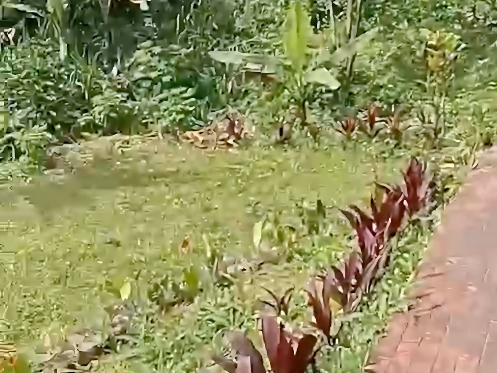 Rumah/ Villa Dijual di Pinggir Jalan Raya, Cisarua Bogor