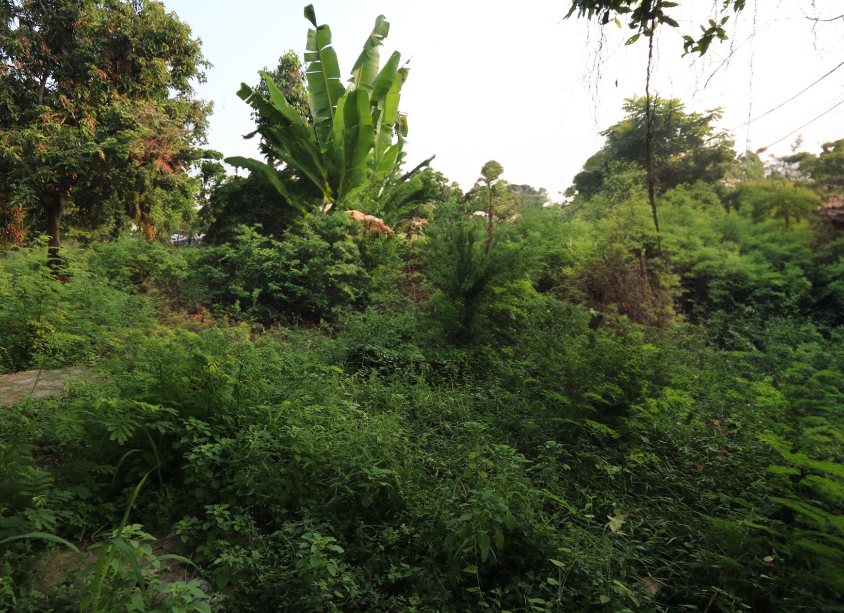 Tanah 5000m2 Karang Tengah, Dekat Green Lake City, Metland Puri 