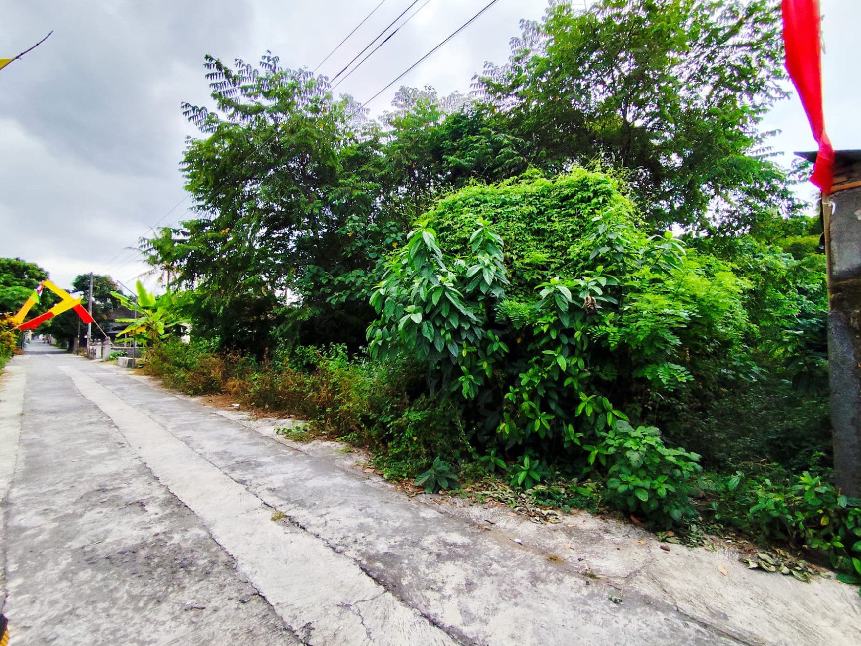 Tanah Pekarangan 1620 Meter Persegi Lokasi Dekat Stadion Maguwoharjo