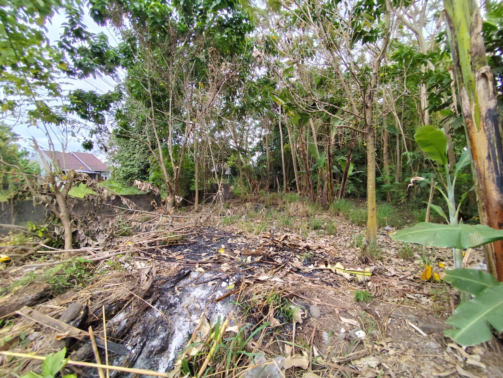 Tanah Pekarangan 1620 Meter Persegi Lokasi Dekat Stadion Maguwoharjo