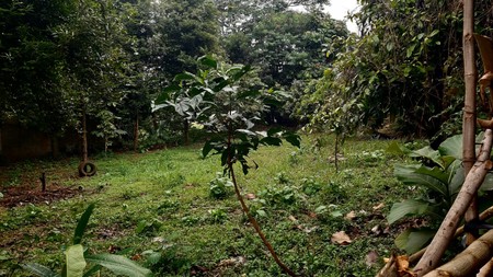  Tanah Luas di Sarua, Ciputat, cocok utk Usaha 