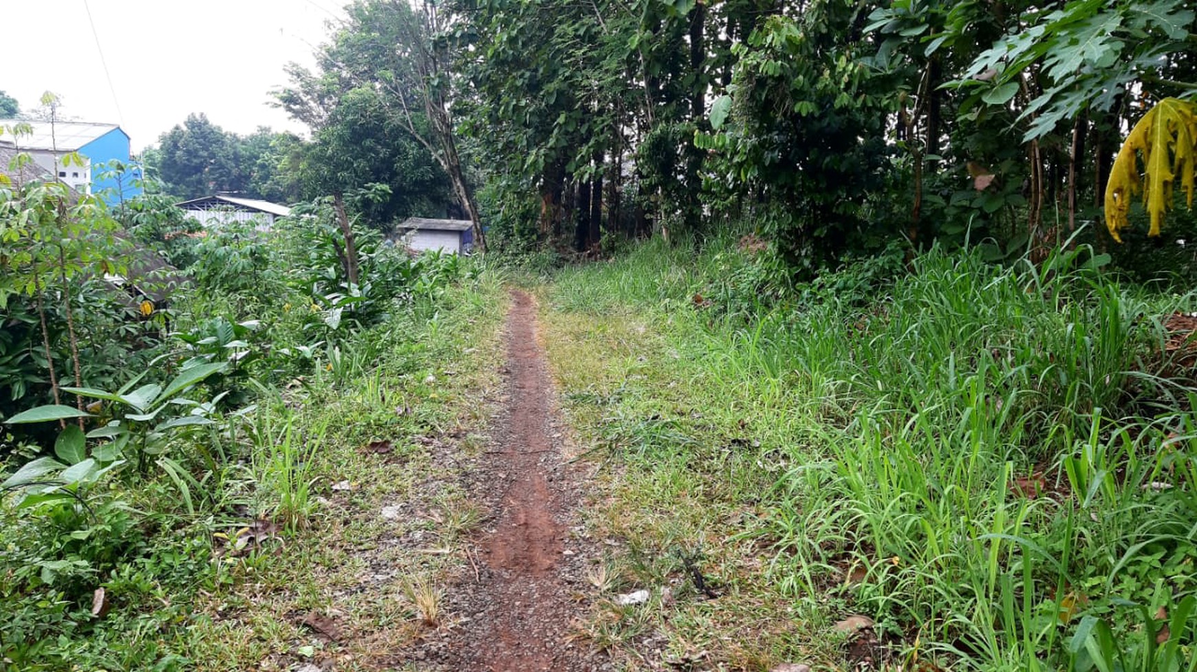  Tanah Luas di Sarua, Ciputat, cocok utk Usaha 