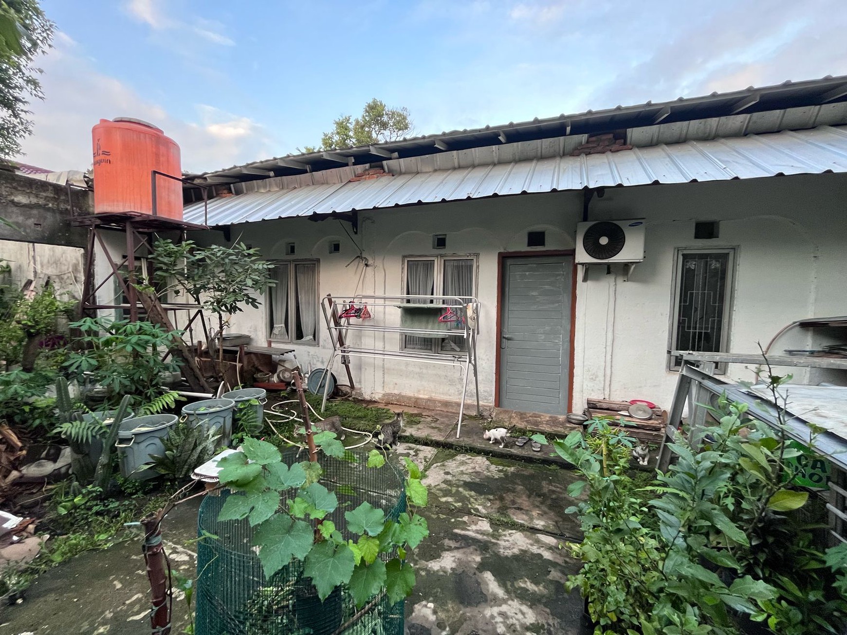 Rumah Asri Hijau, Udara Sejuk Segar, Tenang, Tidak berisik, di Cipayung Jakarta Timur.